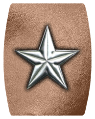 DAREC 430 SL BZ Star Silver Bronze
